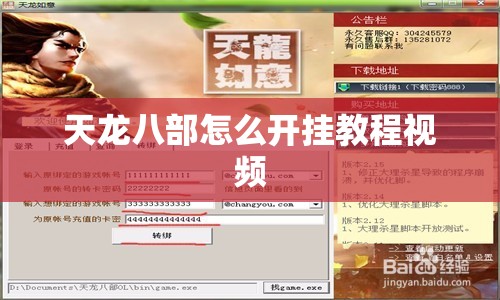 天龙八部怎么开挂教程视频