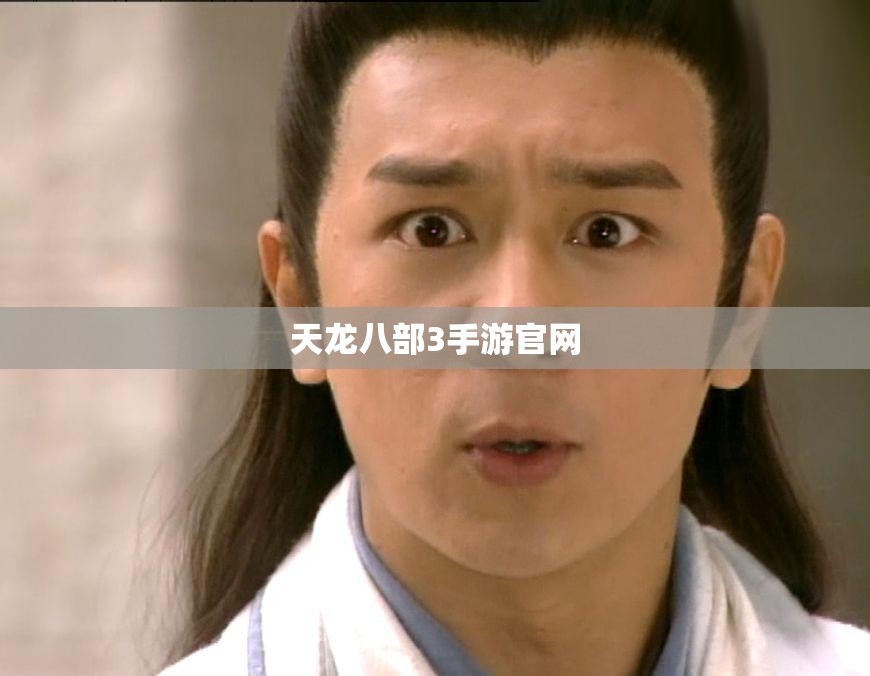 天龙八部3手游官网